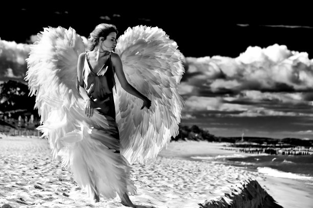 大天使的翅膀图片下载