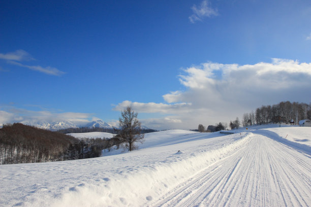 郊区雪场景图片下载