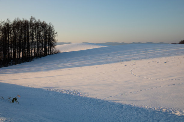 冬山黄昏图片下载