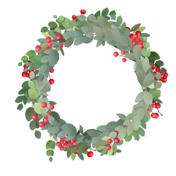 尤加利装饰花环与冬季红色浆果在白色背景。手绘植物插图。圣诞快乐。图片下载