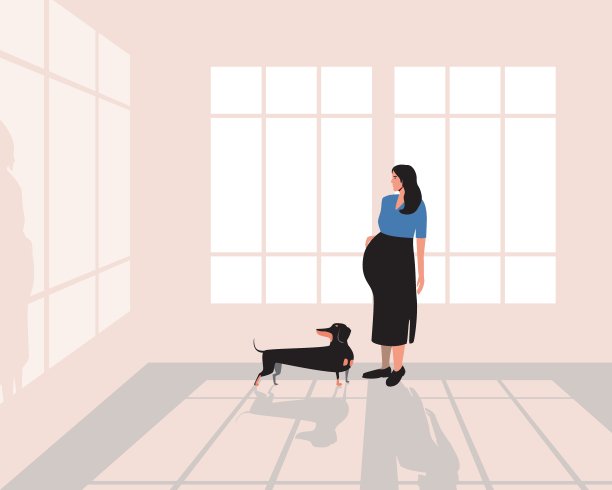 孕妇独自带狗在早上，平矢量股票插图与房间有窗户和阴影，产假的概念图片下载