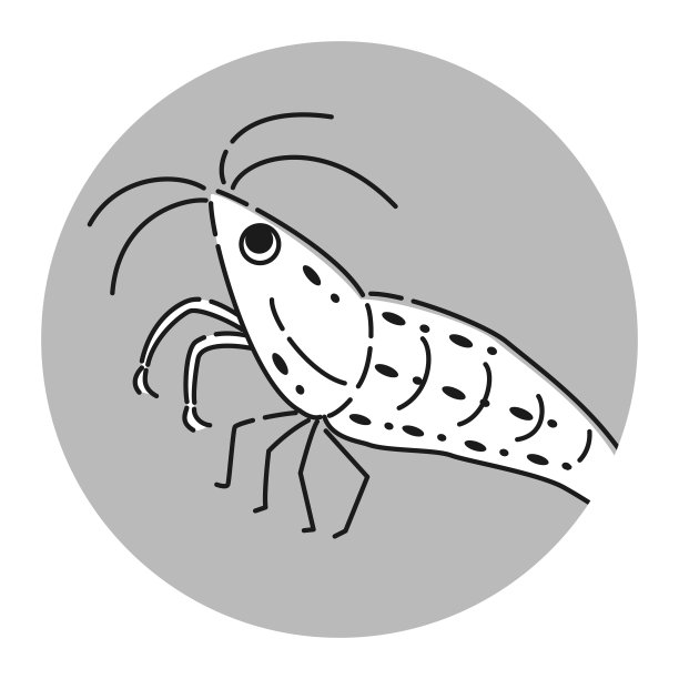 虾图标图片下载