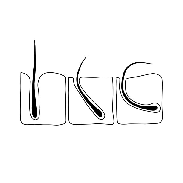 人类头发生长示意图。图片下载