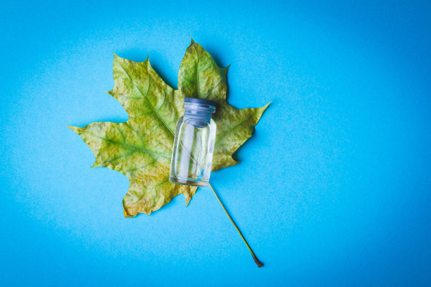 枫叶和解毒剂，蓝色背景的注射器。秋天治病。图片下载