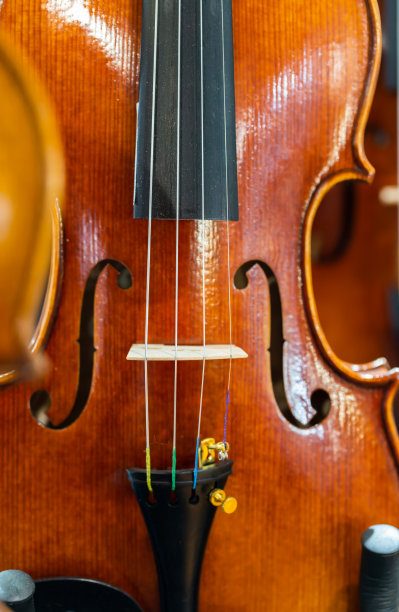 特写的小提琴图片下载