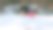 一名女子在公园里用健身球锻炼身体图片下载