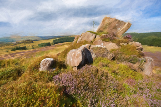 数字乡村山水画的紫色石南在吉布托，小强，峰区国家公园。图片下载
