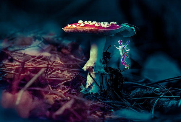 魔法森林地面图片下载