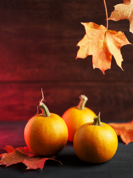 感恩节秋天的背景是南瓜和悬挂的枫叶。复制空间木制背景图片下载