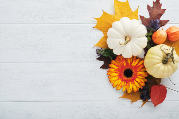万圣节喜庆的秋天背景。秋季装饰由南瓜，浆果，枫叶和栗子在古老的乡村白色木制背景。感恩节万圣节的概念。俯视图复制空间图片下载