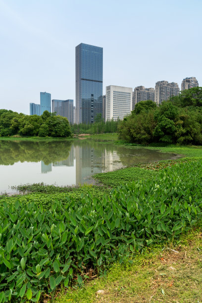 中国湖滨现代写字楼图片下载