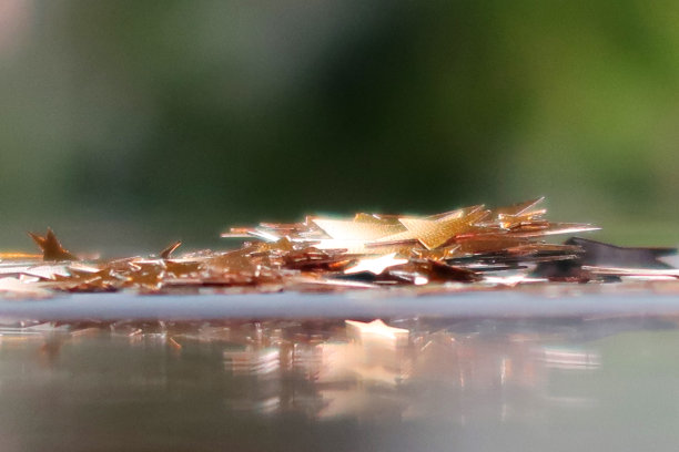 圣诞装饰，金色星星，绿色背景图片下载