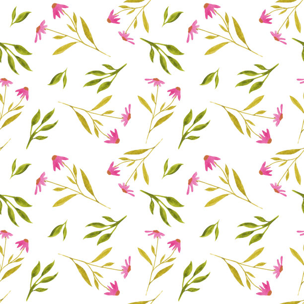 水彩无缝图案与草地野花，雏菊和树叶。用于装饰和设计。图片下载