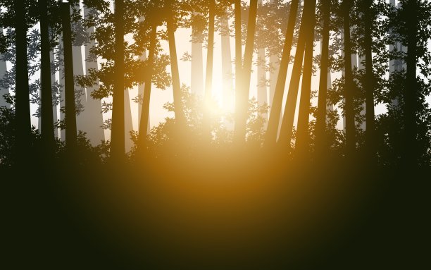 日出在森林矢量插图。图片下载