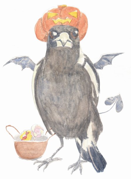 万圣节装扮的喜鹊插画图片下载