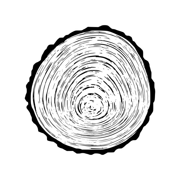 原木切割，矢量插图，树木年轮图案图片下载