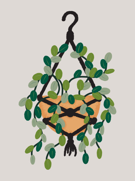 复古的室内植物挂在一个橙色的罐子里。乡村风格。柔和的颜色。用于室内设计，明信片，海报，贴纸。图片下载