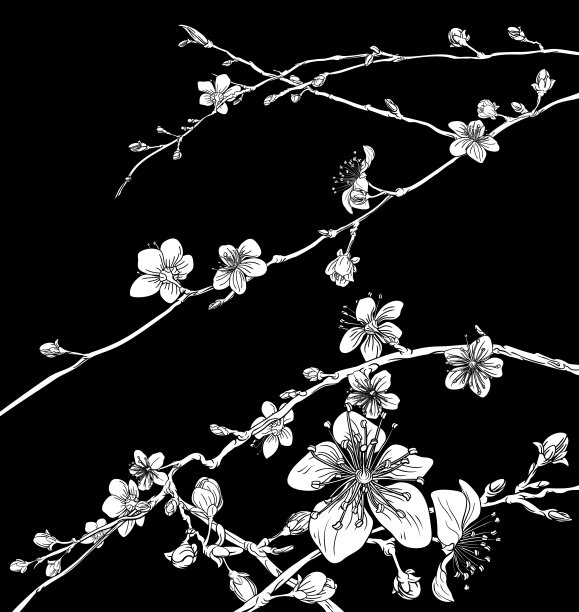 绽放日本樱花樱花印花图片下载