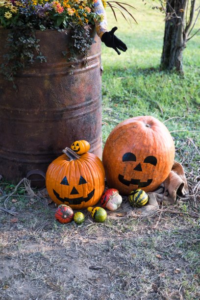 十月有趣可爱的万圣节物品图片下载