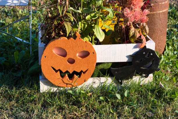 十月有趣可爱的万圣节物品图片下载