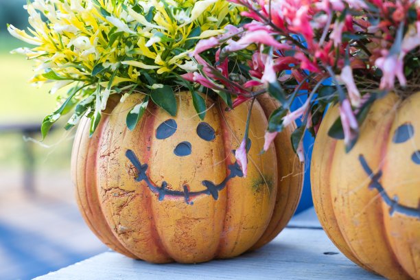 十月有趣可爱的万圣节物品图片下载