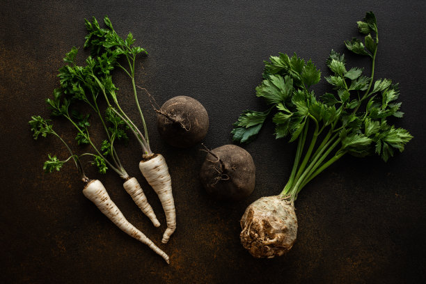 健康的秋季根茎图片下载