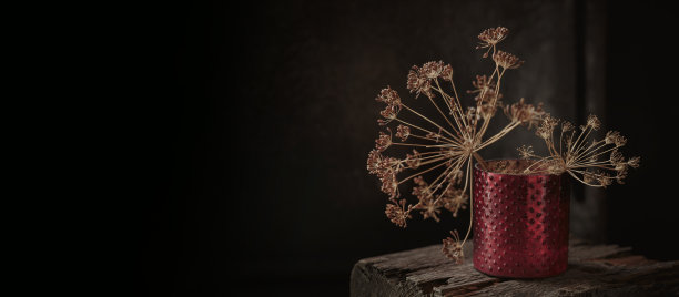 秋天的组成与干花图片下载