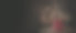秋天的组成与干花图片下载