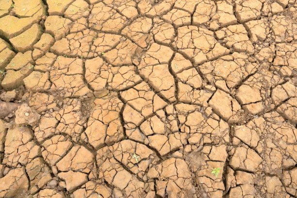 在德国萨克森州的Talsperre Lehnmuehle，一个干涸的空水库和大坝在夏季热浪、少雨和干旱中干涸图片下载