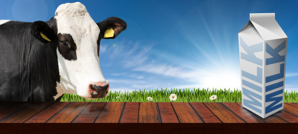 乡村风景中的奶牛和牛奶盒木桌图片下载
