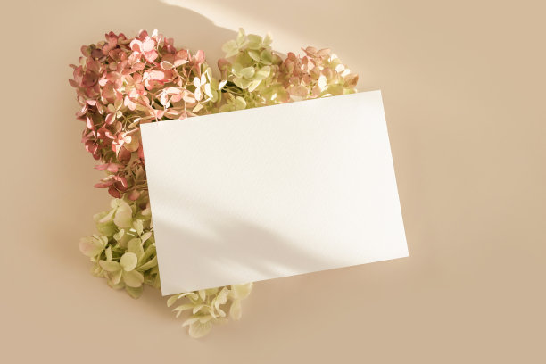 邀请卡片模型与绣球花米色粉彩背景。模板空白的白纸模拟品牌和广告。俯视图，平铺，复制空间。图片下载