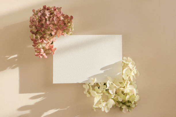 邀请卡片模型与绣球花米色粉彩背景。模板空白的白纸模拟品牌和广告。俯视图，平铺，复制空间。图片下载