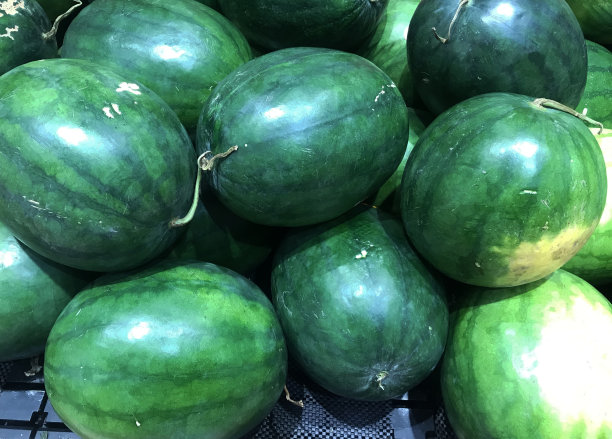 大的绿色的西瓜图片下载