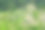 滥砍滥伐的环境问题，热带雨林被毁用于油棕种植园。山林林间的树木砍伐了一片森林。图片下载