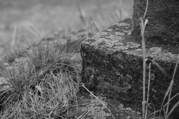 墓地里的地衣里有个石制十字架的碎片。万圣节主题图片下载