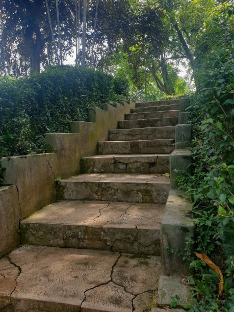 步骤在公园图片下载