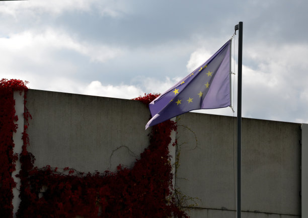 欧盟旗帜在高墙后飘扬。国防和边界安全以及自由民主国家人民的重要性。混凝土墙与攀援植物的红叶色，天空，蓝色图片下载