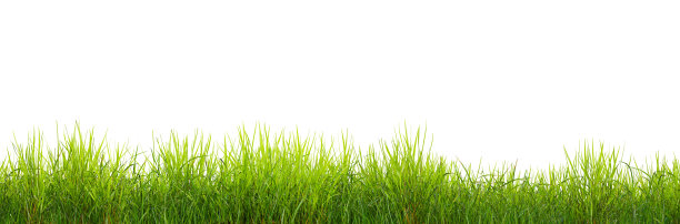 绿色的草地边界，孤立在白色的背景上。绿色草坪的地平线。绿色田野框，背景图片下载