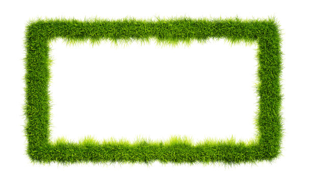 白色背景上孤立的草框。草矩形框，复制空间图片下载