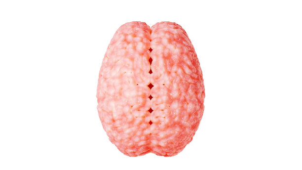 人类大脑，俯视图。医疗插图。3 d渲染。大脑解剖。图片下载