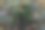 森林树桩图片下载