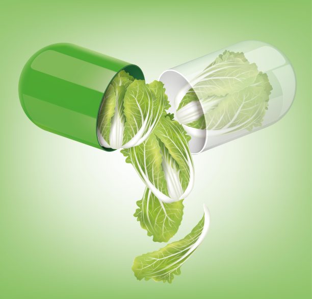 药囊打开后变成白白菜。说明向量图片下载