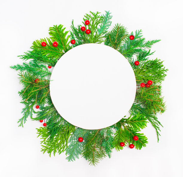 圣诞作文与圆形复制空间。白色背景的圣诞冷杉树枝。平铺，俯视图。图片下载