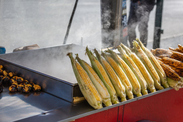 伊斯坦布尔的冬季图片下载