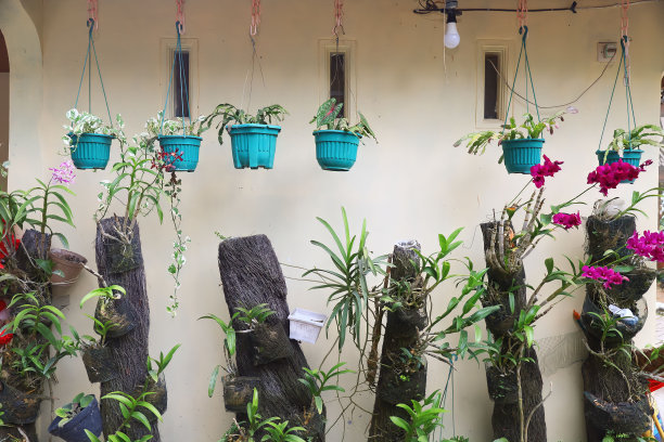 绿色的房子图片下载