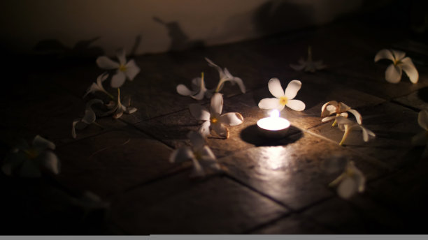 近距离看，美丽的夜晚装饰在地板上，摆放了蜡烛和鲜花，白色的木兰，浪漫的气氛，夜晚，蜜月图片下载