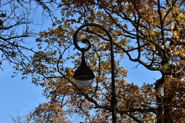 城市公园夜间照明用的电灯图片下载