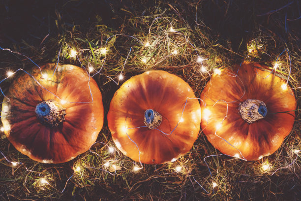 万圣节背景与南瓜灯装饰花环，俯视图图片下载