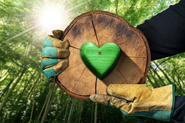 戴着手套的手拿着一棵有绿色木心的树干图片下载