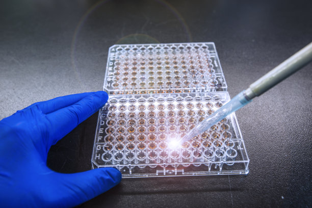 蛋白质浓度测定图片下载